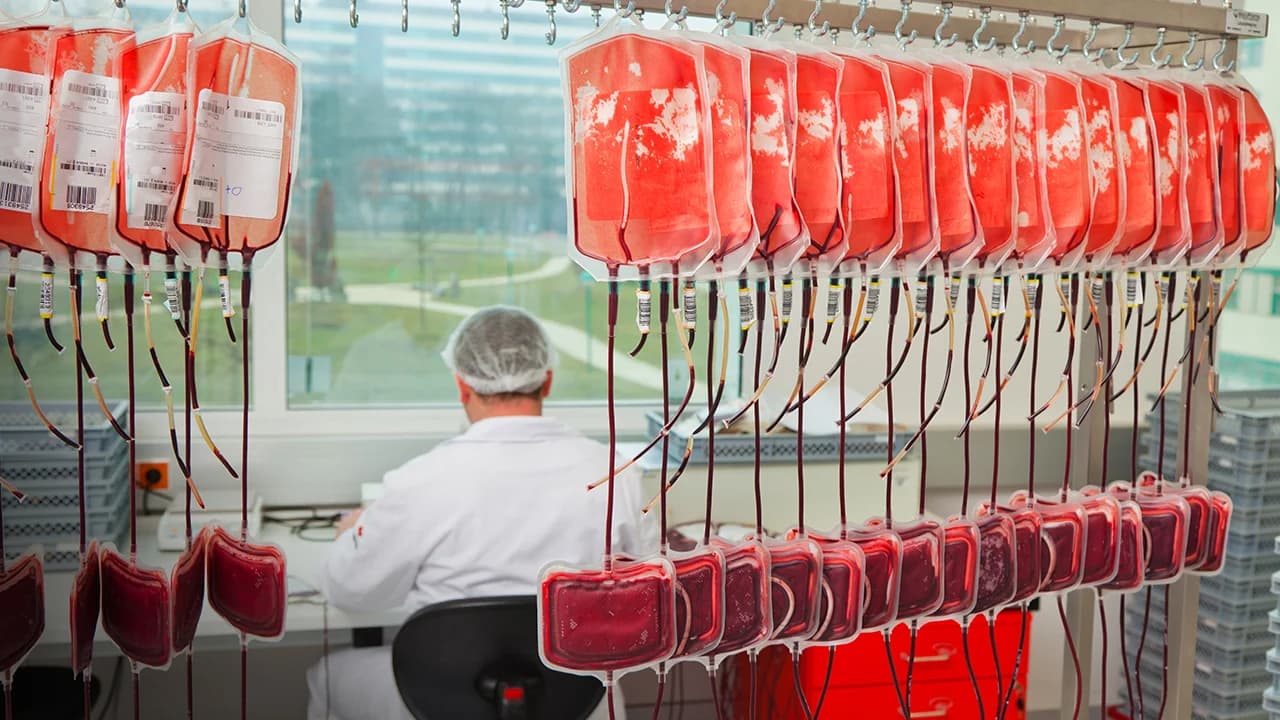 Apheresis & Cell Separation